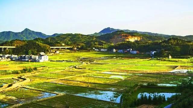 微信图片_20200207122703.jpg