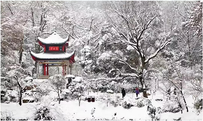 万里长空飞瑞雪 ——远景智库2019新年贺词